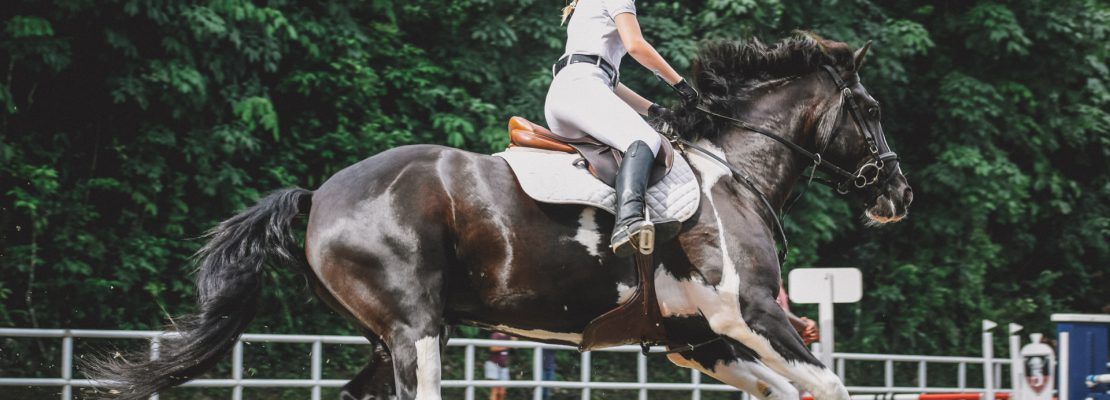 Najlepsze legginsy jeździeckie z pełnym lejem 2021