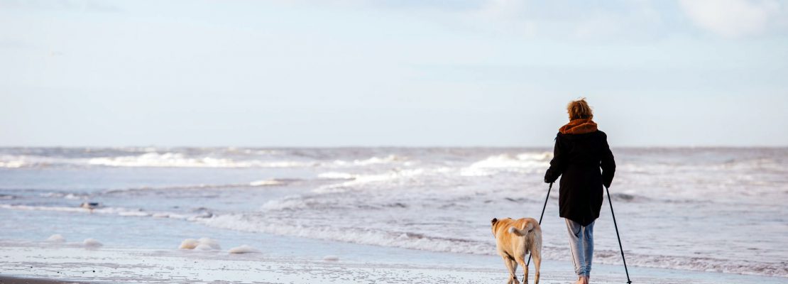 Najlepsze kijki do nordic walking 2021