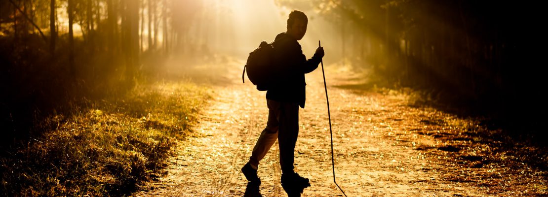 Korzyści wynikające z nording walking