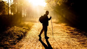 Korzyści wynikające z nording walking