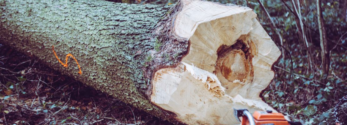 Pilarki spalinowe ranking top 10 - 2022