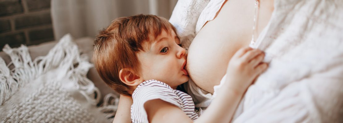 Najlepsze laktatory - Ranking 2022