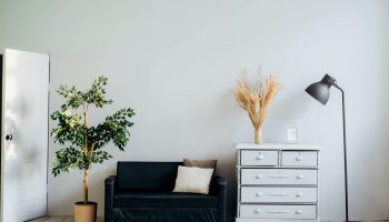 Najlepszy nawilżacz powietrza