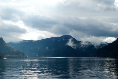 Najlepszy odświeżacz powietrza