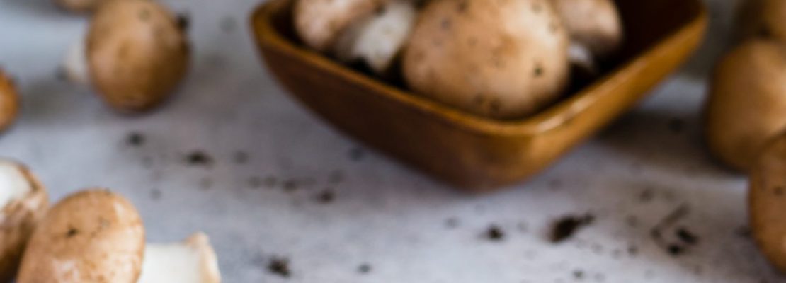 Najlepsze suszarki do grzybów