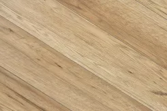 Weninger Dąb Villach Ac4