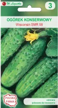 Ogórek Gruntowy Wisconsin Smr 58 5,00G