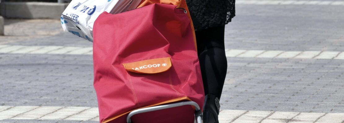 Najlepsze wózki na zakupy