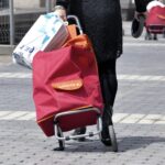 Najlepsze wózki na zakupy