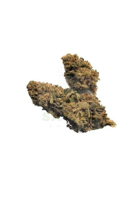 ativa Poland Bubble Gum Susz CBD